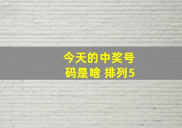 今天的中奖号码是啥 排列5